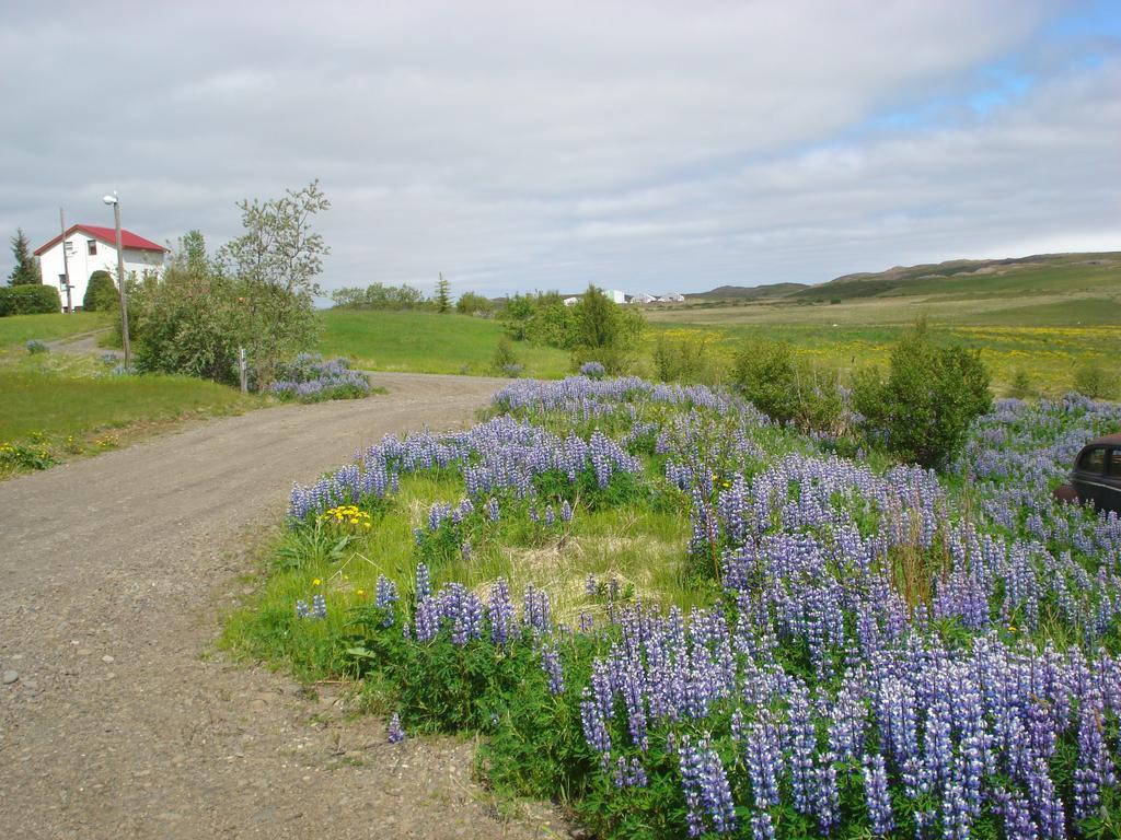 Vinland Guesthouse Egilsstadir Exterior foto