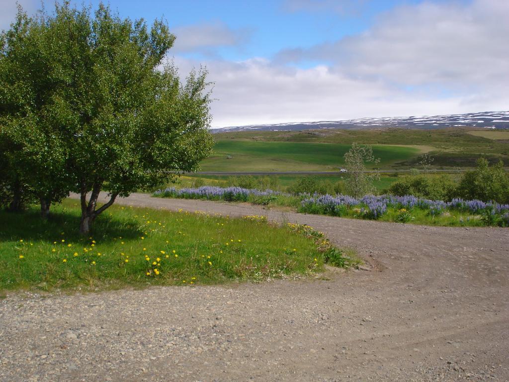 Vinland Guesthouse Egilsstadir Exterior foto